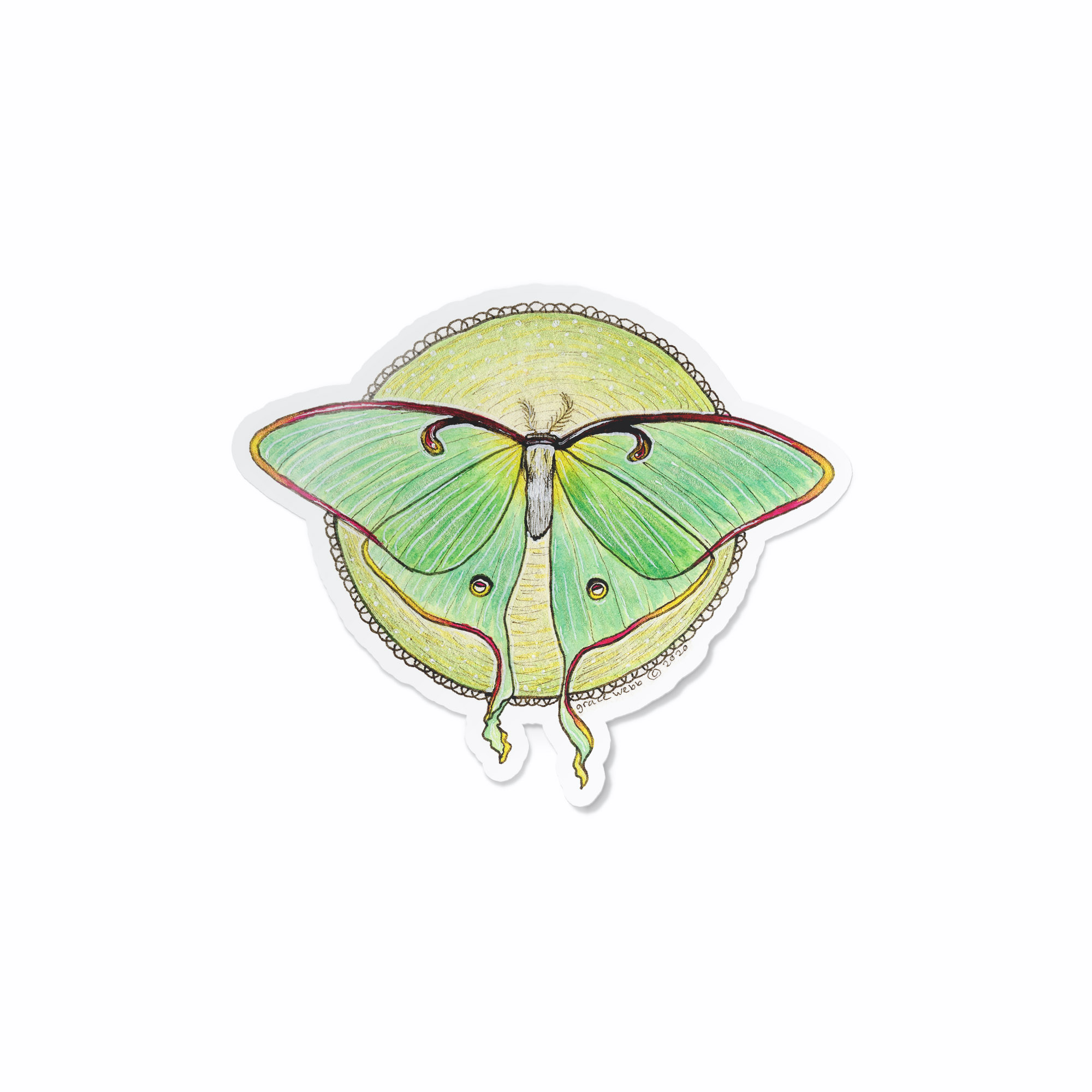 Luna Moth Sticker — Kat Weber Art